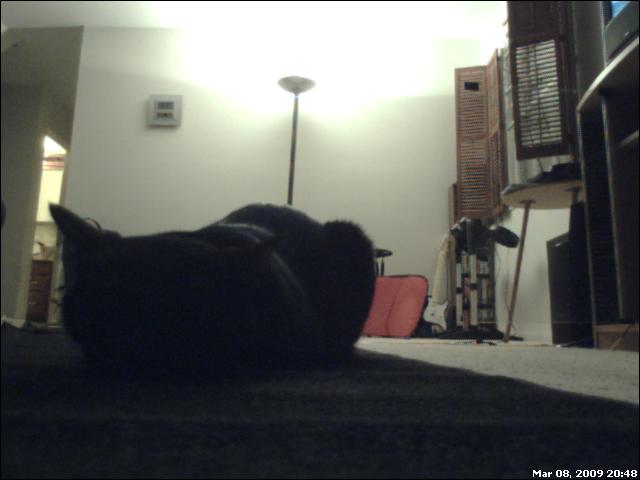 Webcam What the hell is it? :O