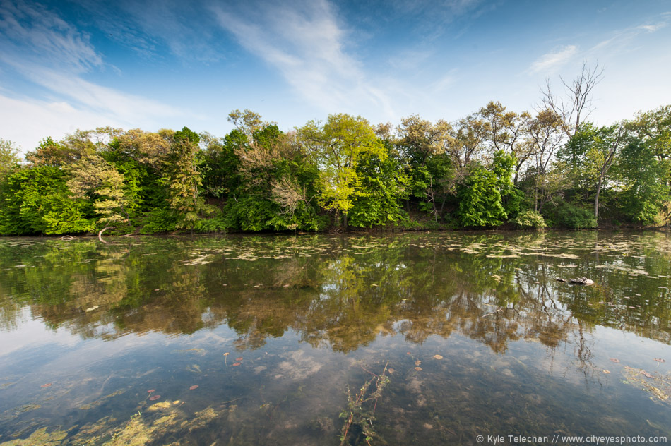 Reflected Skies